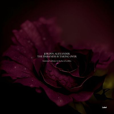 Pre Made Album Cover Graphite