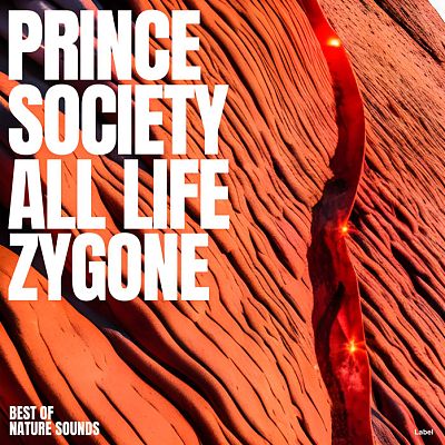 Pre Made Album Cover Aubergine