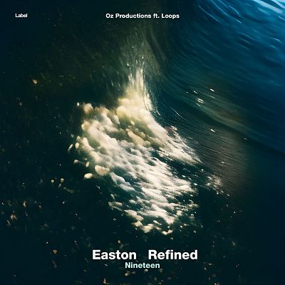 Pre Made Album Cover Firefly