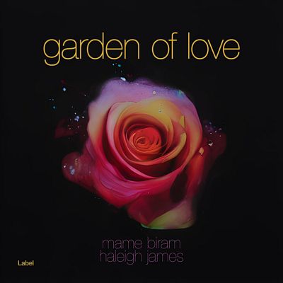 Pre Made Album Cover Gondola