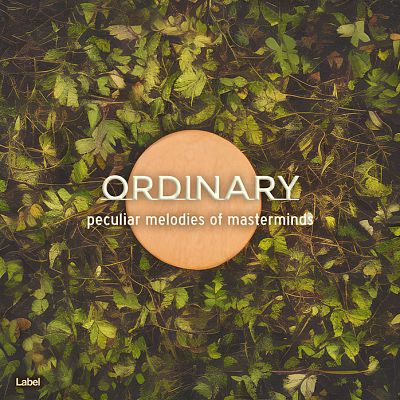 Pre Made Album Cover Judge Gray