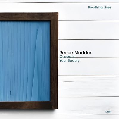 Pre Made Album Cover Wedgewood