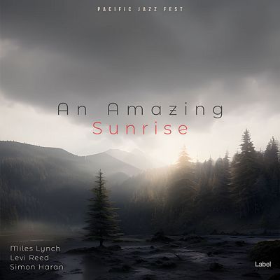 Pre Made Album Cover Dove Gray