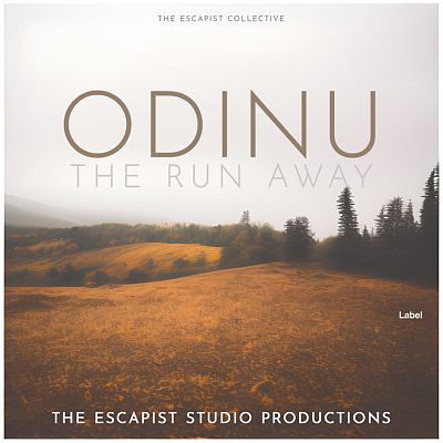 Pre Made Album Cover Pampas