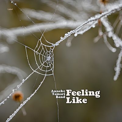 Pre Made Album Cover Soya Bean