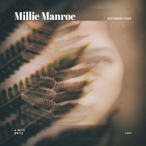 Pre Made Album Cover Armadillo