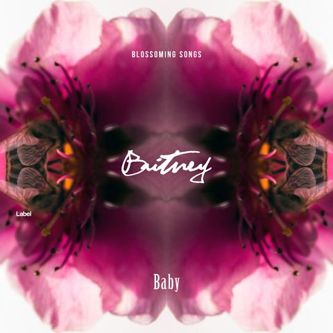 Pre Made Album Cover Tawny Port