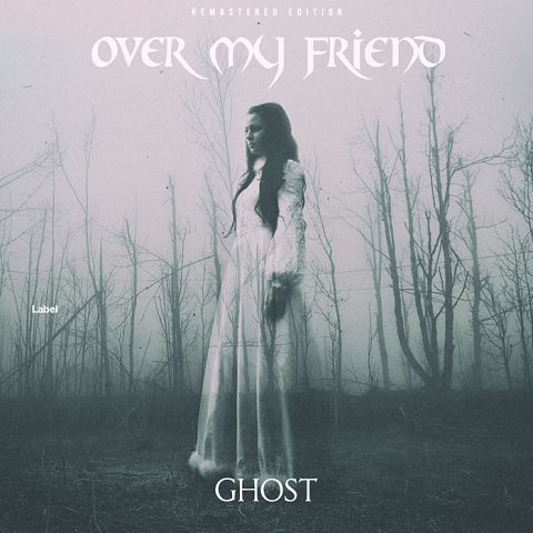 Pre Made Album Cover French Gray