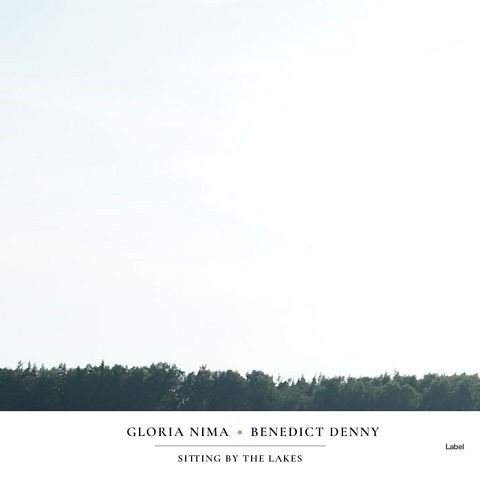 Pre Made Album Cover Limed Spruce