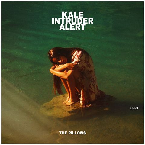 Pre Made Album Cover Green Kelp