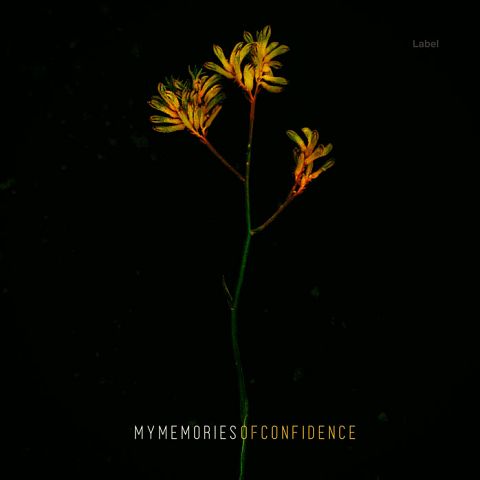Pre Made Album Cover Black