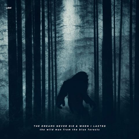 Pre Made Album Cover Firefly