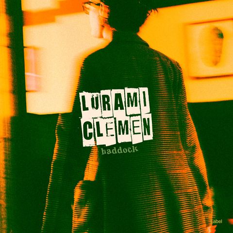 Pre Made Album Cover Dark Fern