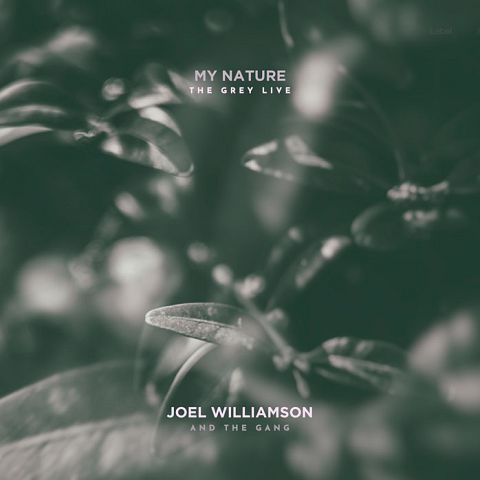 Pre Made Album Cover Mineral Green