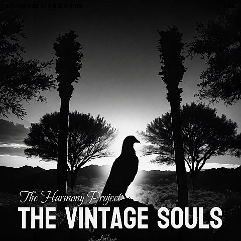 Pre Made Album Cover Silver