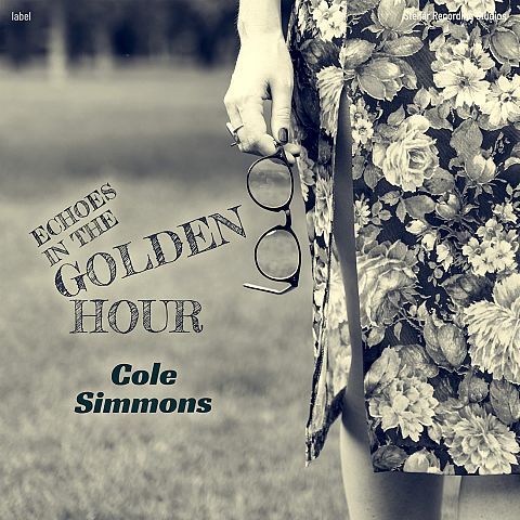 Pre Made Album Cover Lemon Grass