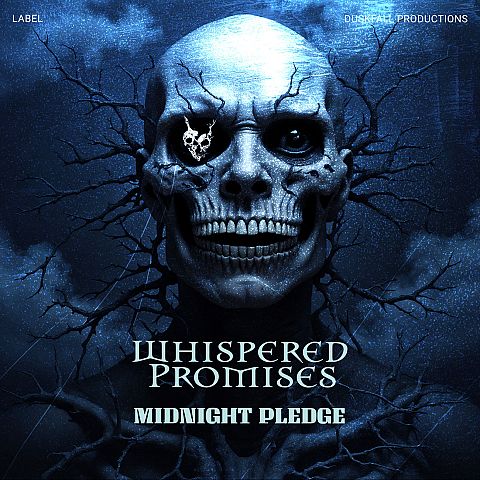 Pre Made Album Cover Firefly