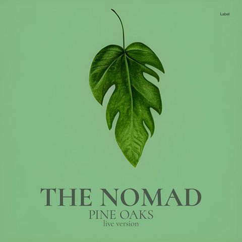 Pre Made Album Cover De York