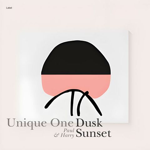 Pre Made Album Cover Dawn Pink
