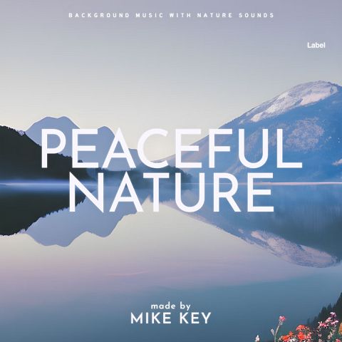 Pre Made Album Cover French Gray