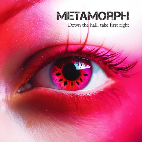 Pre Made Album Cover Maroon Flush